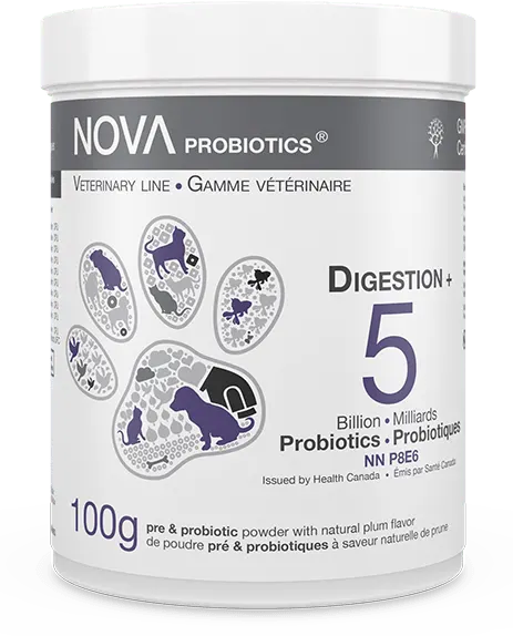 Antibio Support + Digestion Formula